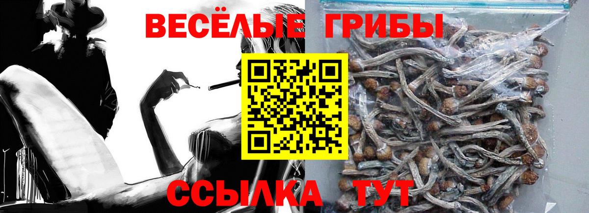Псилоцибиновые грибы Magic Shrooms Люберцы